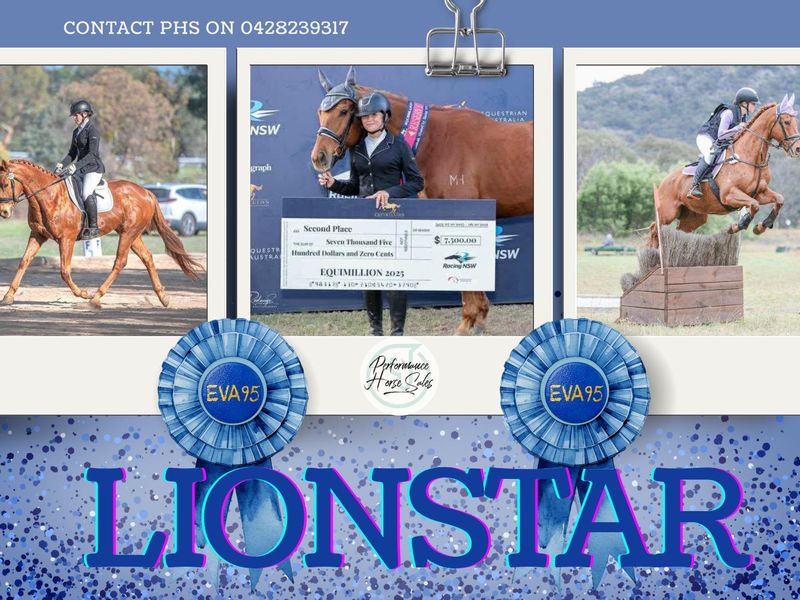 Lionstar - EVA95, 110 SJ and Elementary dressage