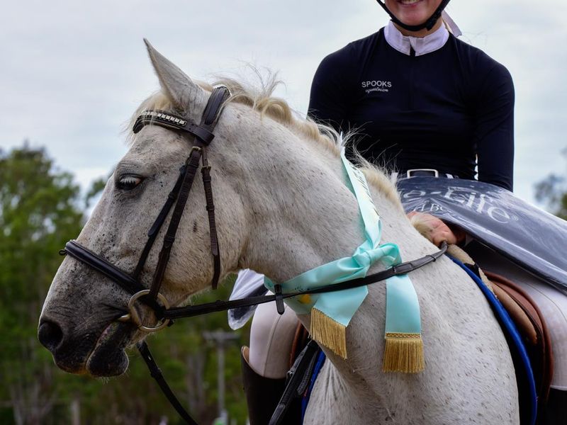 Talented Children's Horse