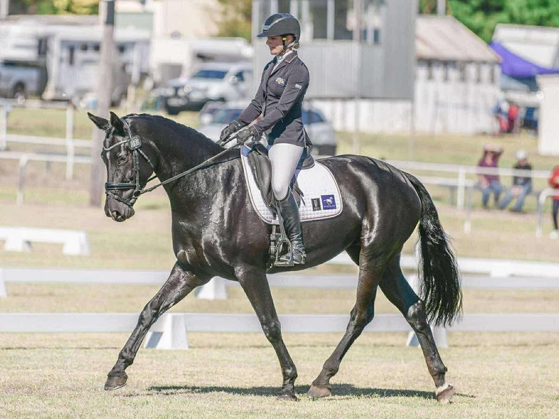 Callum Park Florentine – “Ava Blue”