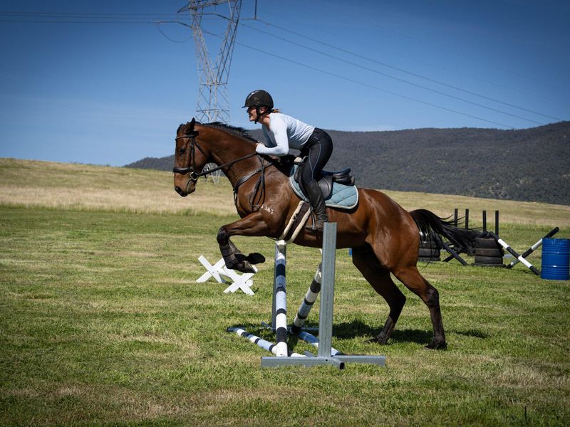 Quiet TB endless potential