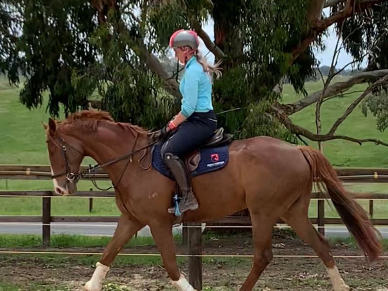 Eye catching and Talented 