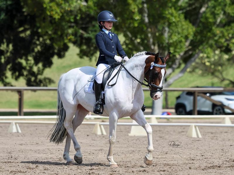 Outstanding Interschools Mount and all rounder