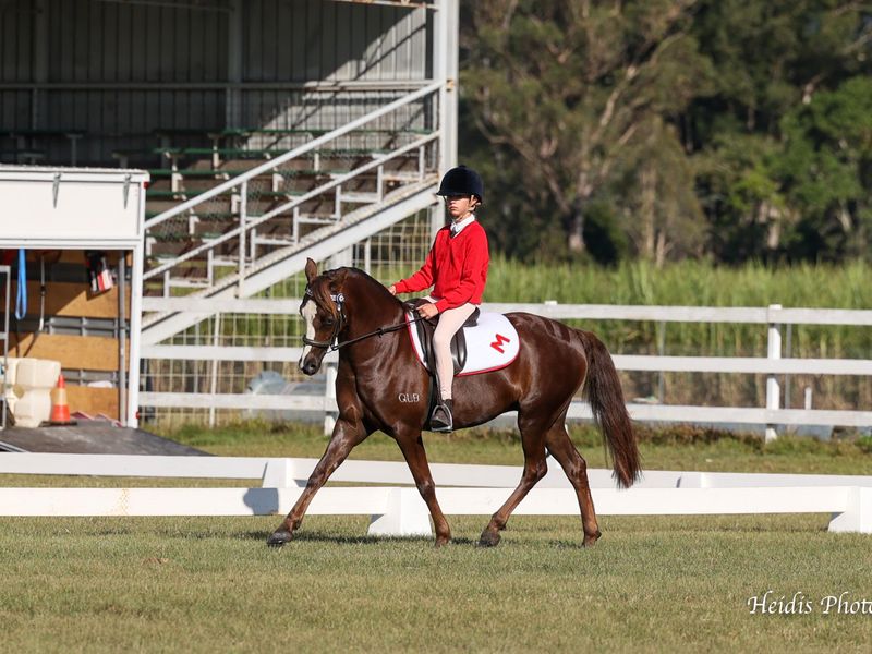 Ridge Park Highgrove Prince