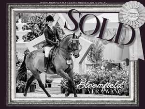 Bloomfield Vera Wang