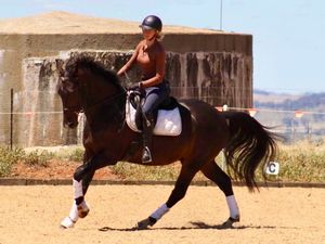 Henbury Cambridge (1-12-2019)