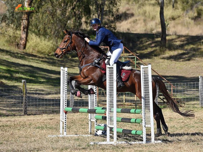 The Perfect Allrounder