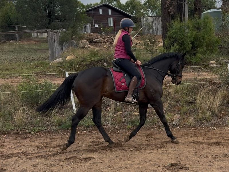 Tall dark and handsome
