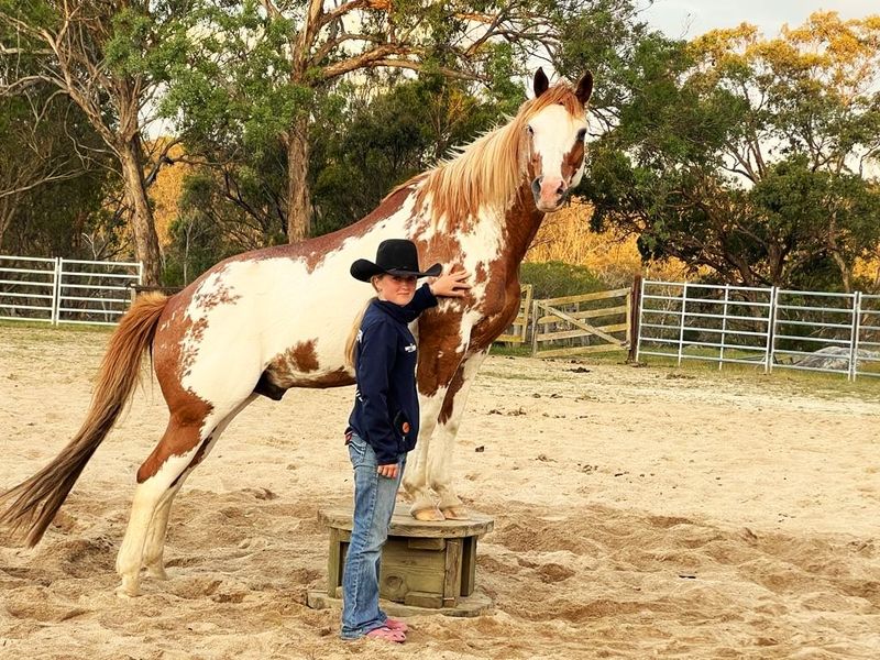  Loots Affects - Stunning Loots Image* paint geldi