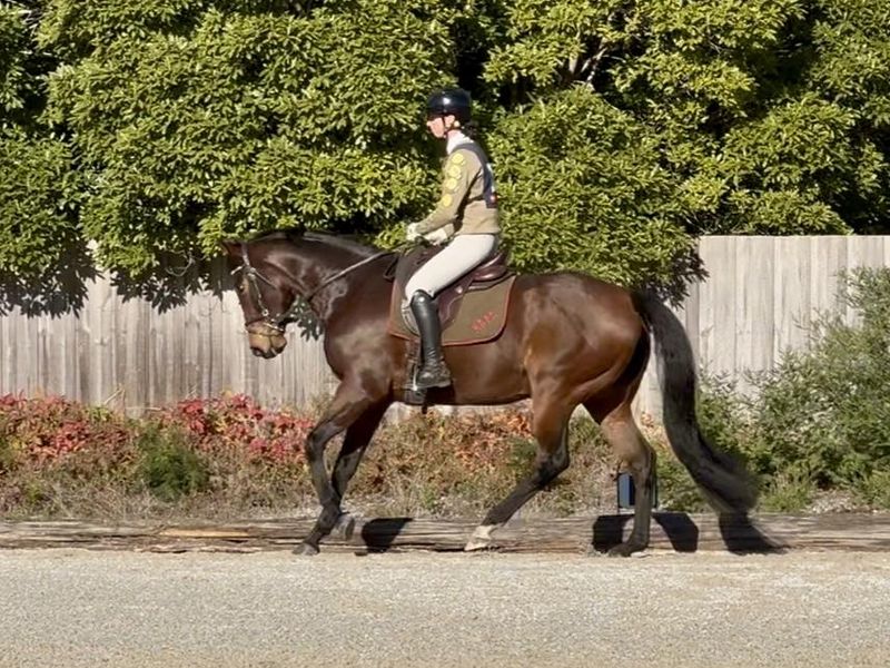 Competitive and so Quiet