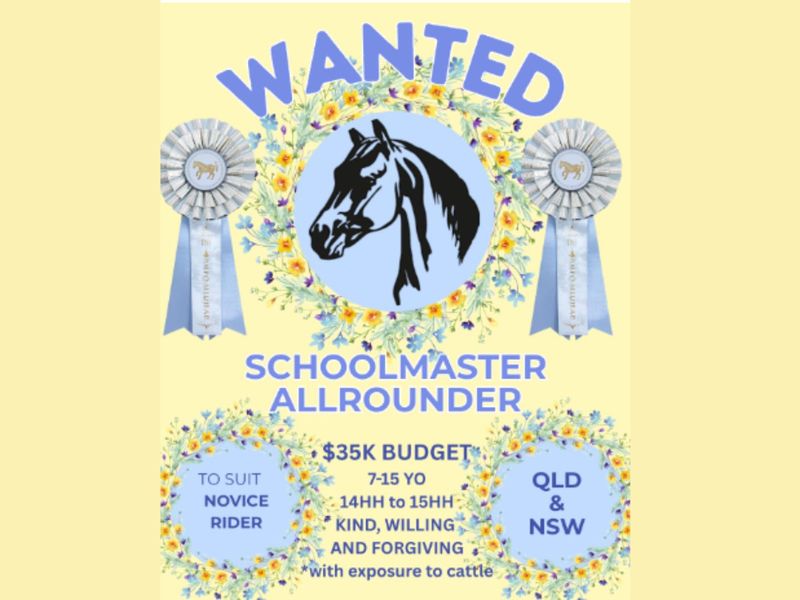 WANTED TO BUY - Schoolmaster allrounder