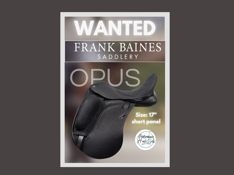 WANTED - Frank Baines Opus - 17'' Short Panel