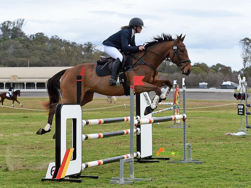 Talented 1* Eventer