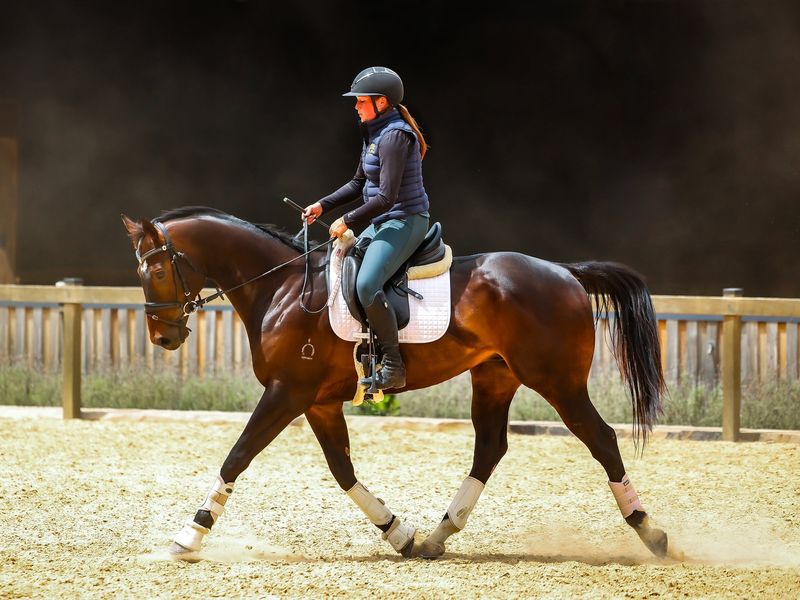 Potential Plus🌟 SJ or Event