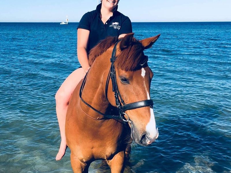 Confidence Building Partner