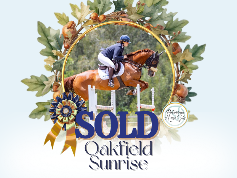 Oakfield Sunrise - Superstar SJ / Eventer