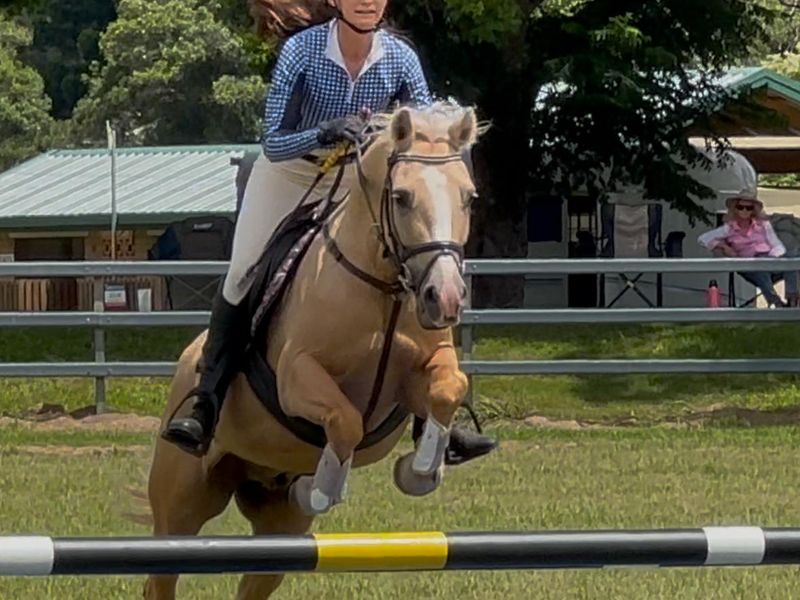 Riverside Park Mystic Dream (Rio)