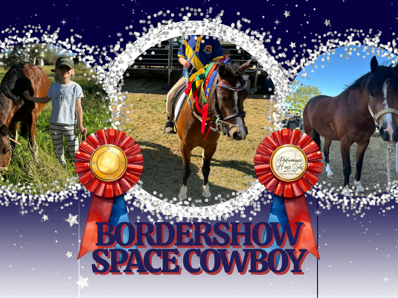Bordershow Space Cowboy: Beginners Schoolmaster