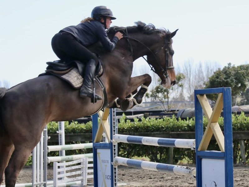 GULLIVER XTREME - Quality & Scope