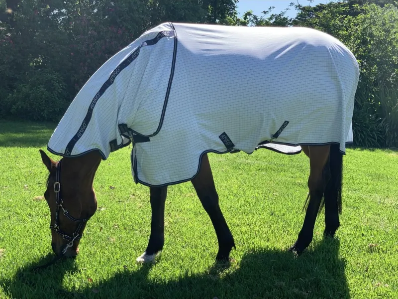 Amigo Allrounder Helix Horse Rug