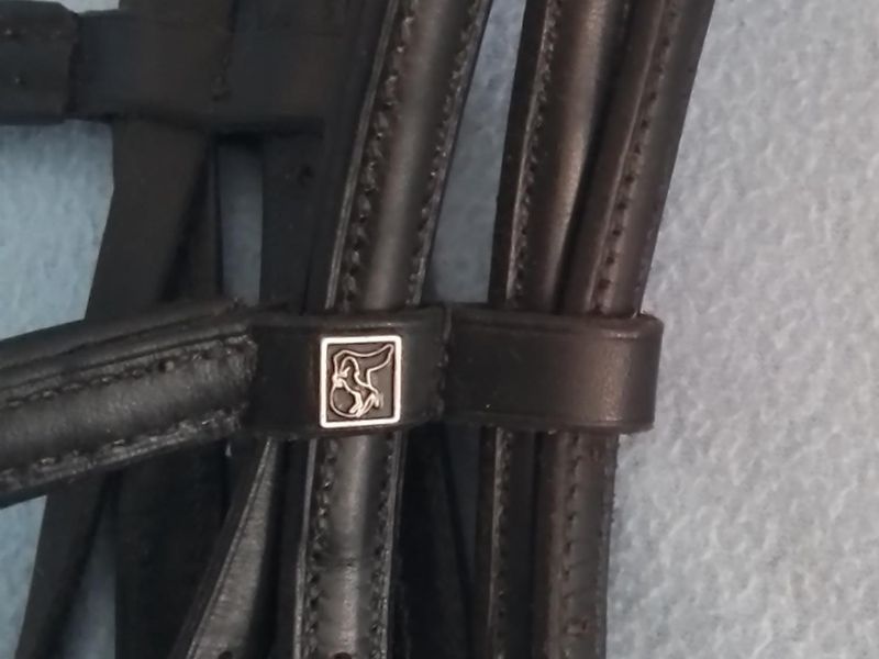 KEIFFER DOUBLE BRIDLE AND REINS – BLACK - FULL