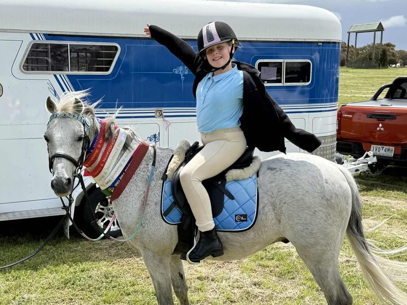 Welsh X RP Gelding – 2nd Pony / Lead-Line