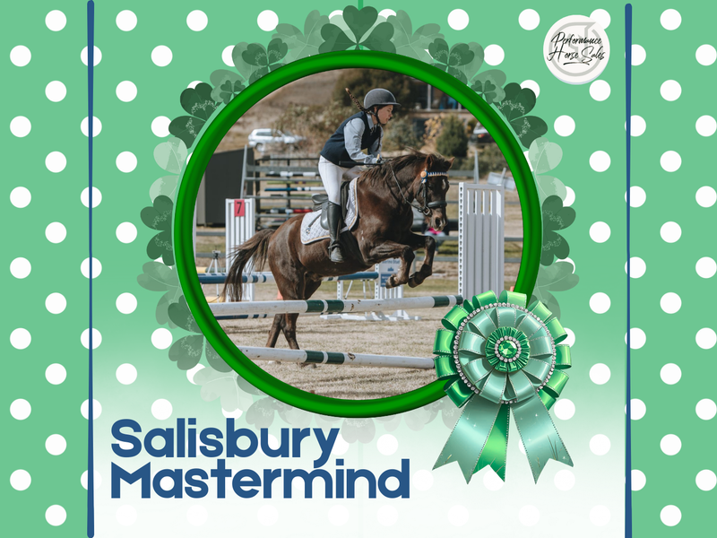 Salisbury Mastermind