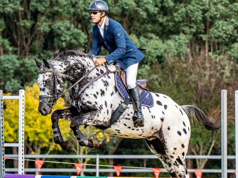 Fantastic Temperament