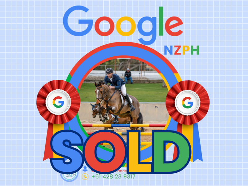 SOLD! Google NZPH: 120+ schoolmaster showjumper