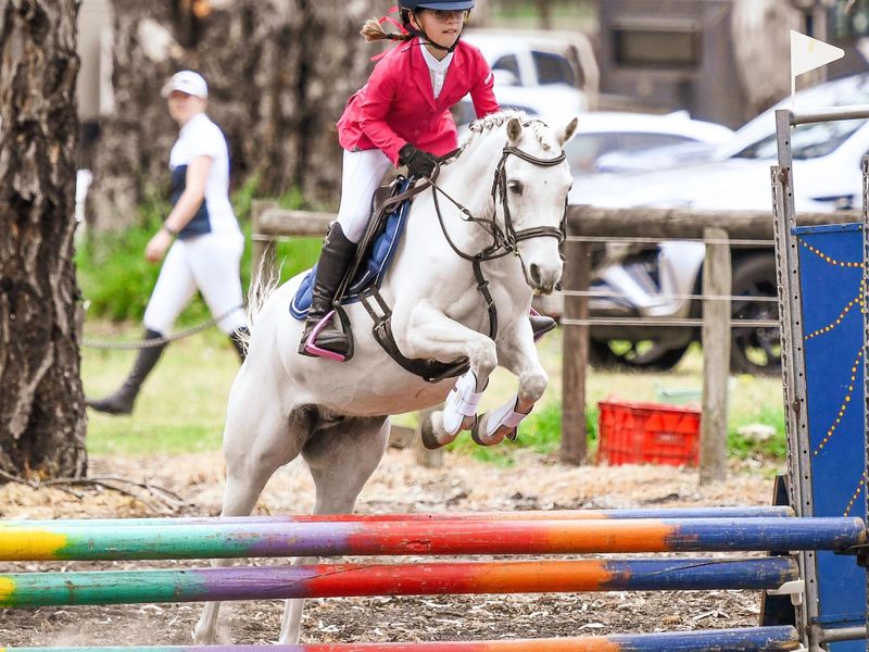 Ultimate Child’s Jumping Pony