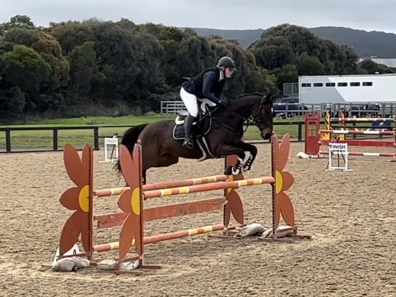 Lovely Performance Mare