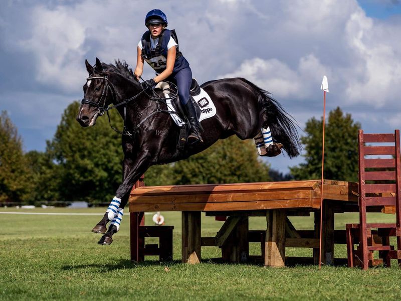 Experienced Talented Eventer