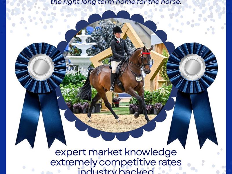 Buying? Selling? Searching?