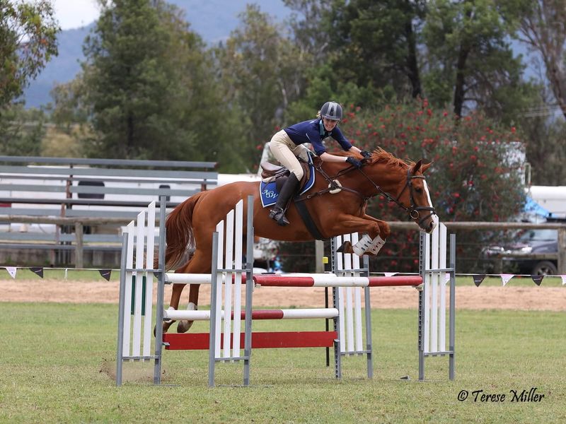 Interschools/Pony Club Package 