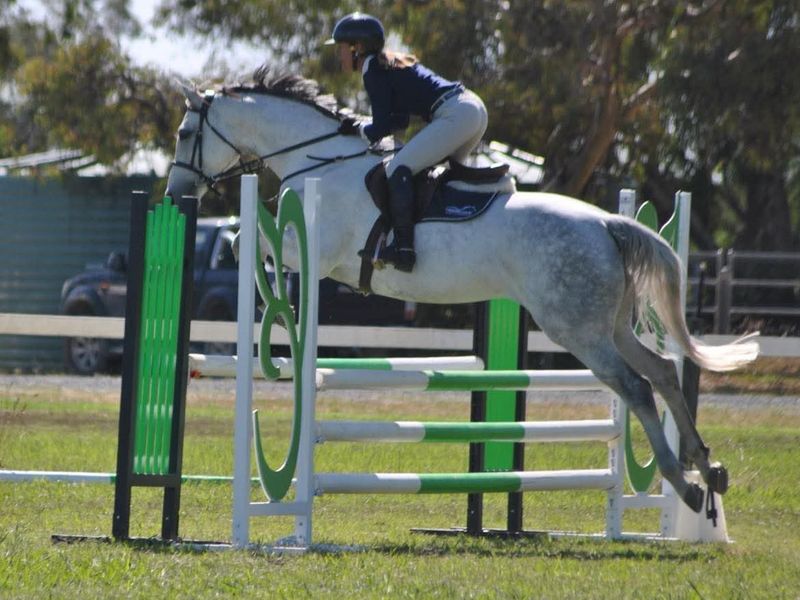 Jingella Superstition