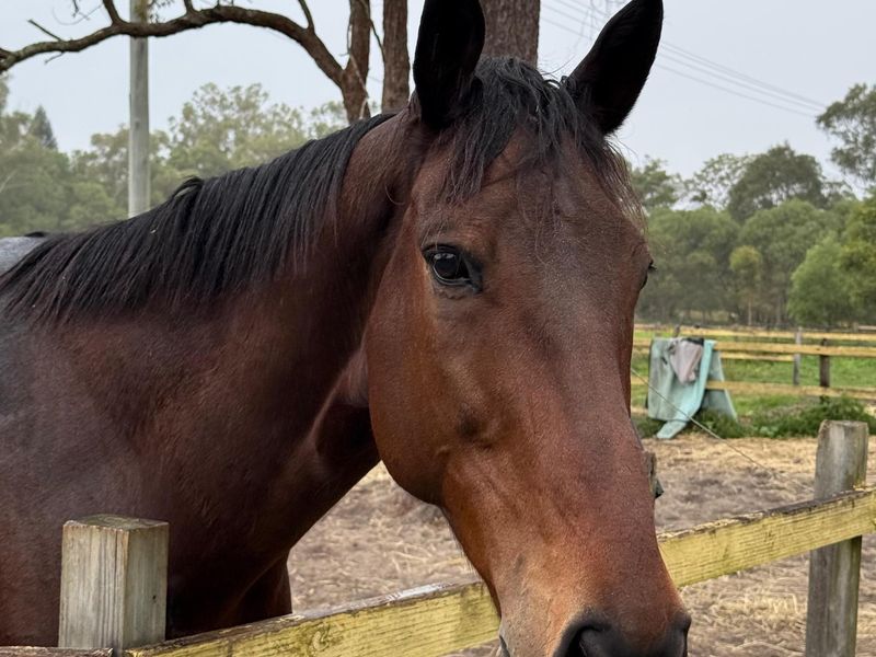 Your Next Super Star