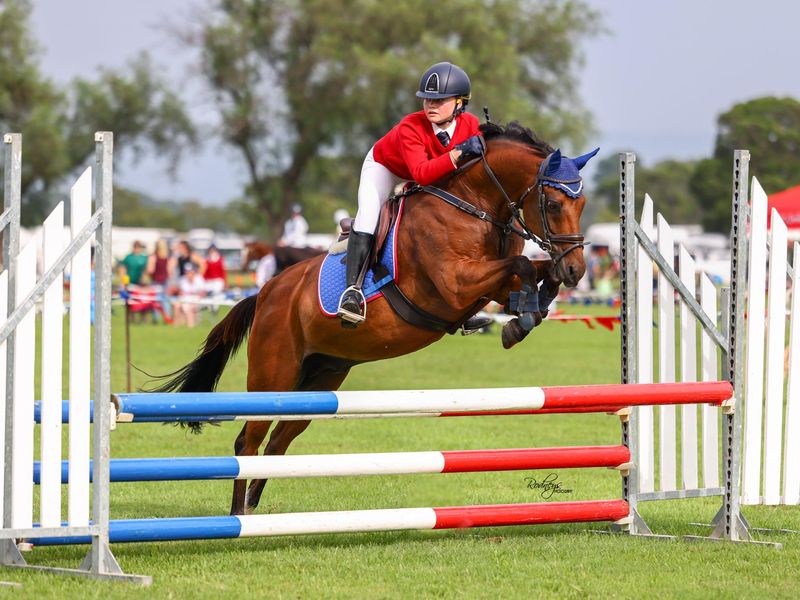 Ultimate Performance Pony