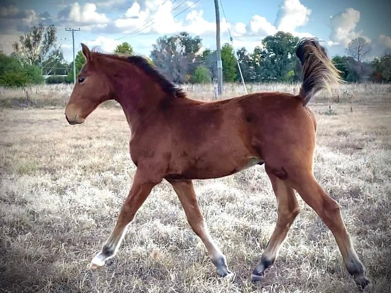 Quint Horta x Cera Quantro x Lux Z