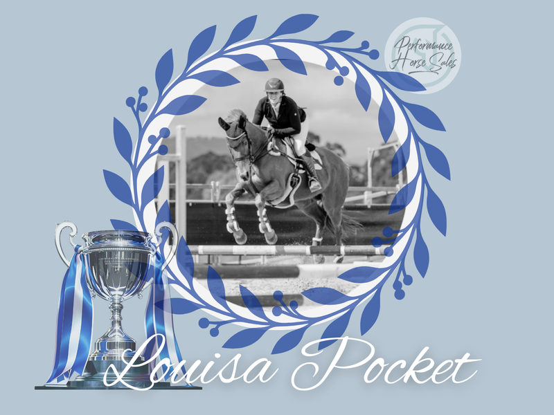 Louisa Pocket - point and shoot 104 SJ