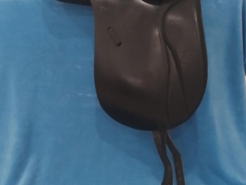 Trainer Jessica Black Dressage saddle 17":