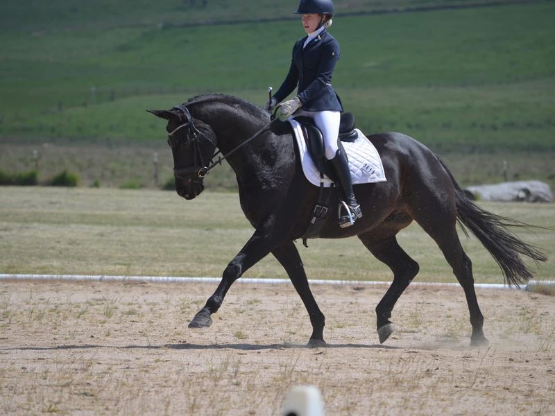 Mega Talented But Tricky