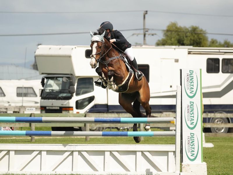 Exceptional junior, amateur and beyond jumper