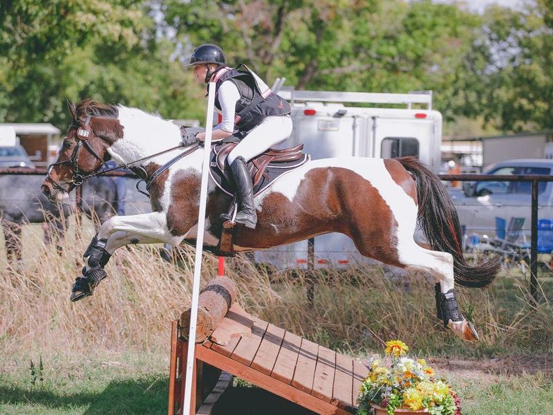 Eye-Catching Paint Eventer- Confident & Capable