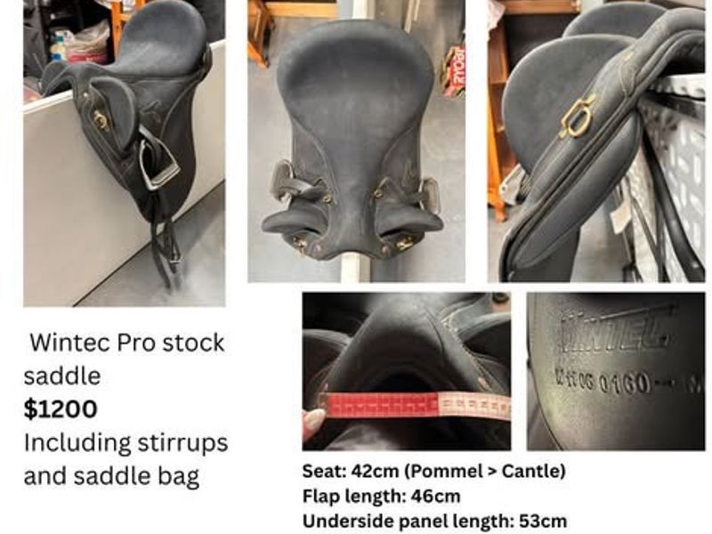 Wintec Pro stock saddle incl stirrups and bag