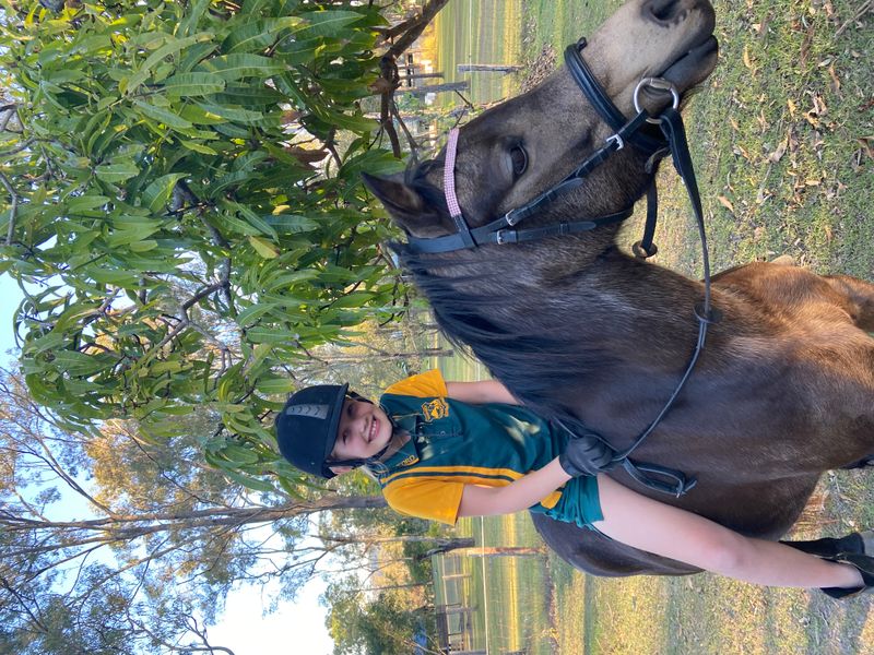 Children's All Rounder Pony