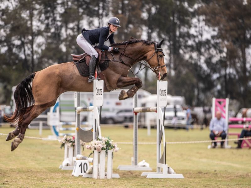  Exceptional Amateur / Junior showjumper