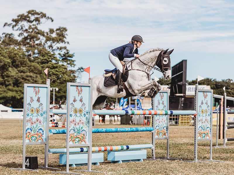 Competitive Amateur/Junior Show Jumper