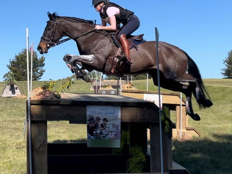 3/4* EVENTER- JUMPING MACHINE