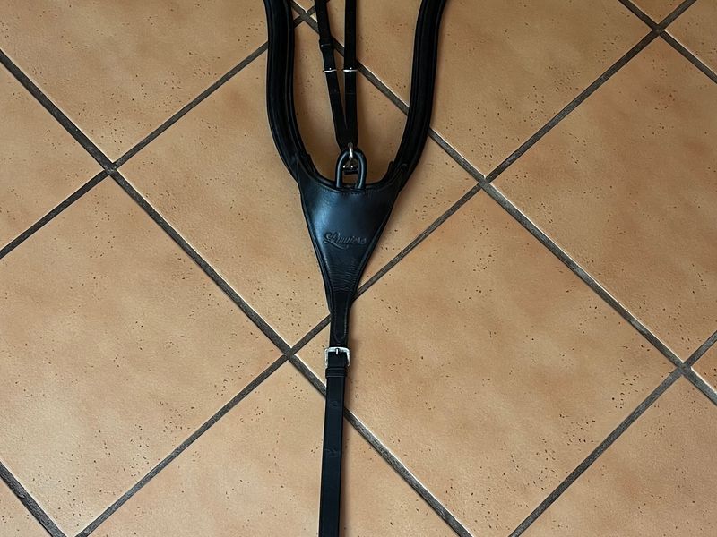 Breastplates and Bridle