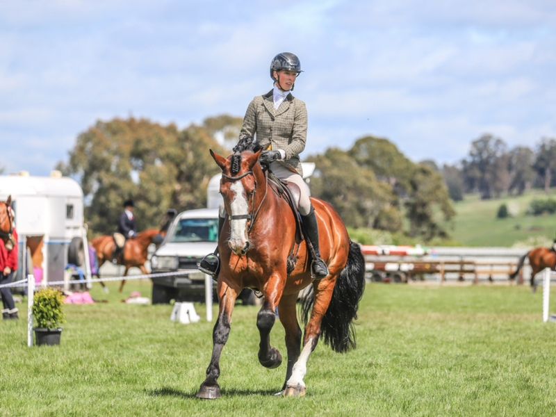 Beautiful Allrounder 