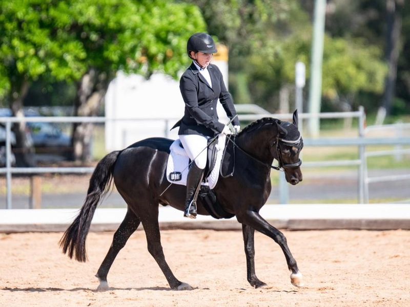 FEI Pony Dressage Prospect
